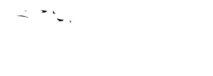 Bauer Construction Logo scaled